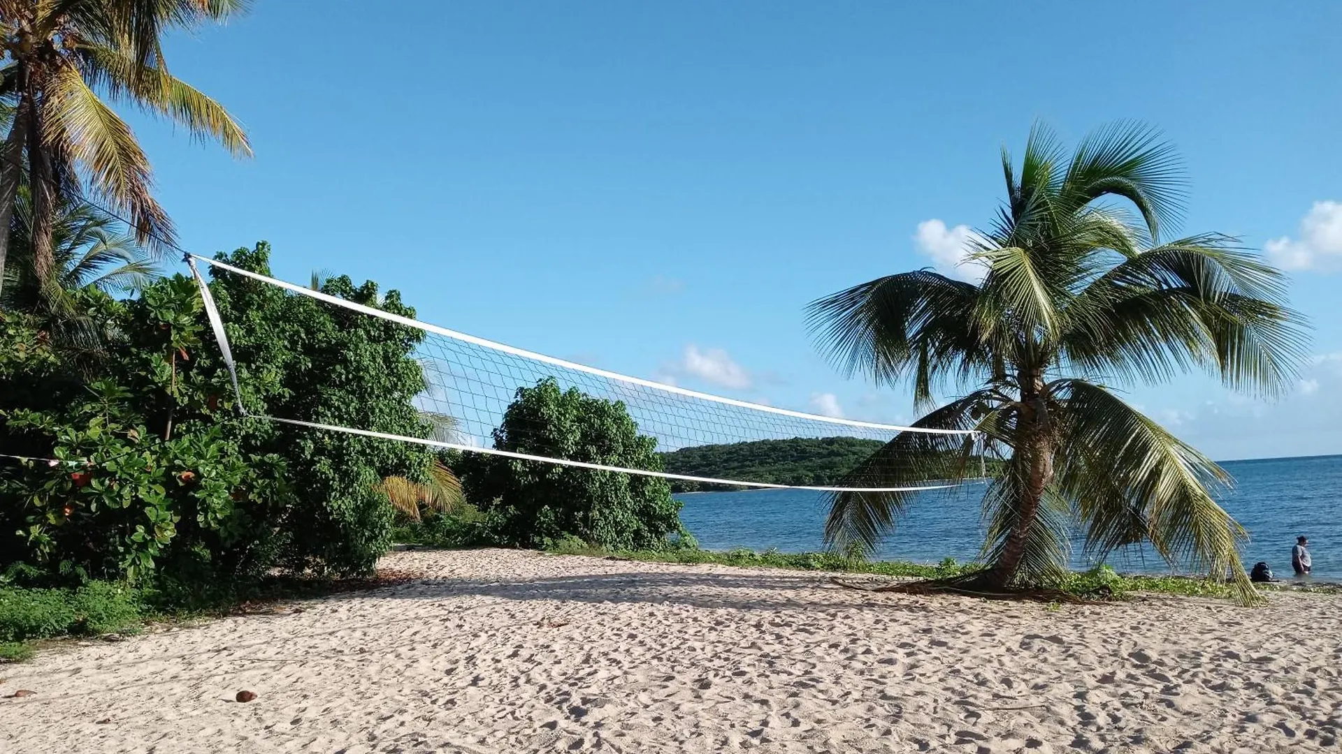 Studio 3 Anacaona With Garden Access Vieques Puerto Rico